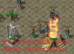 �¿��б䴫��˽�����ԣ�������ο������Ų����׳ɸ�ս���