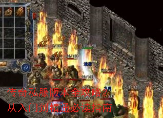 ����˽���汾ȫ���ԣ������ŵ���ͨ�ض�ָ��