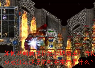 ��δ����³ɳ�Ϊɳ�ǰ�����������ҳ����սɳ������ʤ������ʲô��