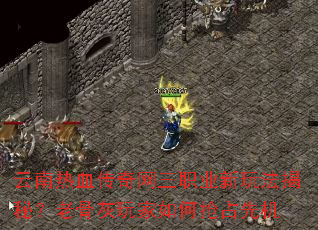 ������Ѫ��������ְҵ���淨���أ��Ϲǻ���������ռ�Ȼ�