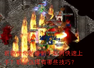 ���ٴ���˽��������ο������֣�ְҵѡ������Щ���ɣ�