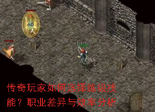 ����������ѡ���������ܣ�ְҵ������Ч�ʷ���