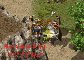 ���澫Ӣ��������Щ���ݴ����Ľ�����