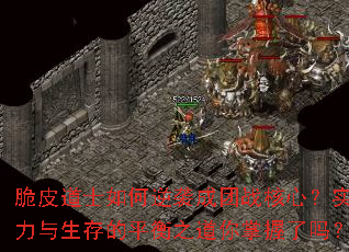 ��Ƥ��ʿ�����Ϯ����ս���ģ�ʵ���������ƽ��֮������������