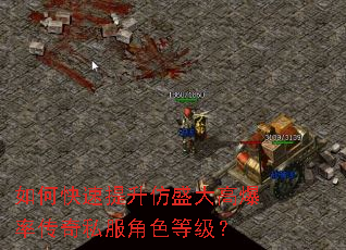 ��ο���������ʢ��߱��ʴ���˽����ɫ�ȼ���