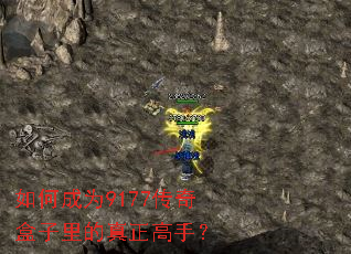 ��γ�Ϊ9177�����������������֣�