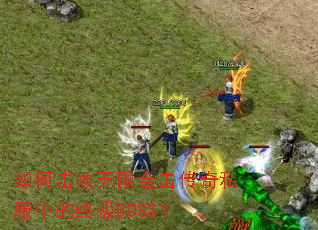 ��λ������޺ϻ�����˽���е��ռ�BOSS��