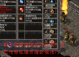 新手如何快速拾取元宝?变态传奇私服开服必看技巧 新手如何快速拾取元宝?变态传奇私服开服必看技巧