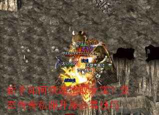 ������ο���ʰȡԪ������̬����˽�������ؿ�����