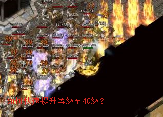 ��ο��������ȼ���40����