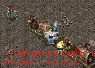 站神单职业新手如何选择职业?怎样打造装备?升级有哪些技巧? 站神单职业新手如何选择职业?怎样打造装备?升级有哪些技巧?
