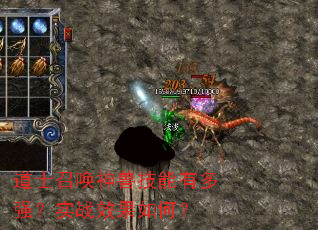 ��ʿ�ٻ����޼����ж�ǿ��ʵսЧ����Σ�