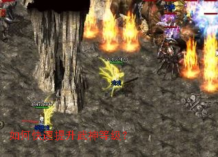 ��ο�����������ȼ���