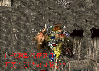 1.95��Ӱ�������ֿ�������Щ��֪�ؾ���