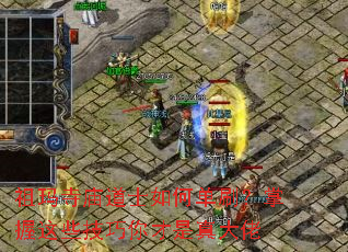 ����������ʿ��ε�ˢ��������Щ��������������