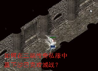 ��������˴���˽����Ӯ��ɳ�Ϳ˹���ս��