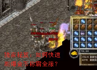 �������ţ���ο���ˢ����ҳư�ȫ����