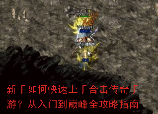 ������ο������ֺϻ��������Σ������ŵ��۷�ȫ����ָ��