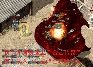 ������ο������ֺϻ��������Σ������ŵ��۷�ȫ����ָ��