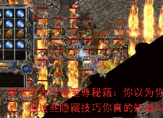 宝宝复古传奇至尊秘籍:你以为你懂了,但这些隐藏技巧你真的知道吗? 宝宝复古传奇至尊秘籍:你以为你懂了,但这些隐藏技巧你真的知道吗?