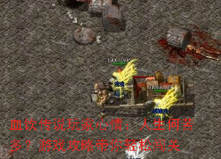 Ѫ����˵������飺�����ο�ࣿ��Ϸ���Դ������ɴ���