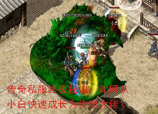 ����˽���ռ��ؾ�����δ�С�׿��ٳɳ�Ϊ������У�