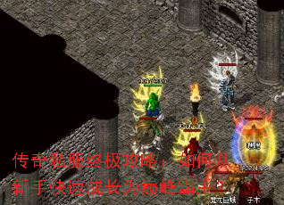 ����˽���ռ����ԣ���δ����ֿ��ٳɳ�Ϊ�۷������