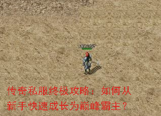 ����˽���ռ����ԣ���δ����ֿ��ٳɳ�Ϊ�۷������