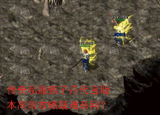 ����˽�����ӵ����԰汾�߽׹����������ʣ�