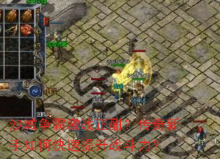 ɳ�����Լ�ս����������������ο�������ս������