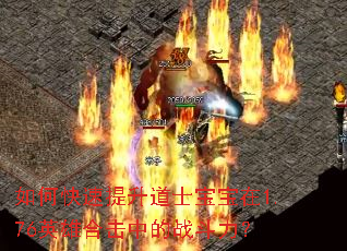 ��ο���������ʿ������1.76Ӣ�ۺϻ��е�ս������