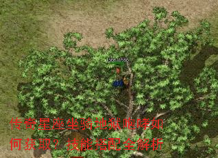 ���������������������λ�ȡ�����ܴ���ȫ����