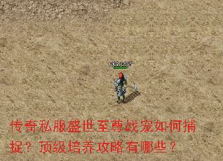 ����˽��ʢ������ս����β�׽������������������Щ��