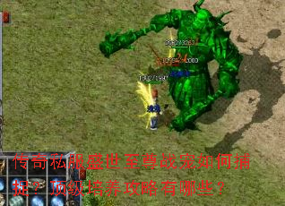 ����˽��ʢ������ս����β�׽������������������Щ��