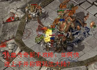 ��Ѫ�������ֹ��ԣ���ο������ֲ��ư��귨��½��