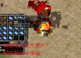 ��ι��˳��³�Ѩ��BOSS�ؼ�ȫ����