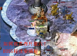 ��ι��˳��³�Ѩ��BOSS�ؼ�ȫ����