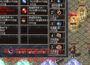 սʿ��ο��������������ҵĸ�Ч�弶�ĵ�