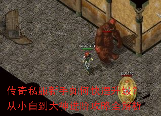 ����˽��������ο�����������С�׵�������׹���ȫ����