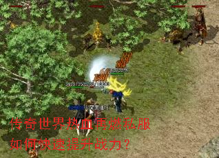 ����������Ѫ��ȼ˽����ο�������ս����