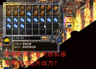 ����������Ѫ��ȼ˽����ο�������ս����