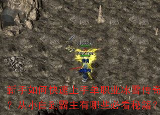 ������ο������ֵ�ְҵ��ѩ���棿��С�׵���������Щ�ؿ��ؼ���