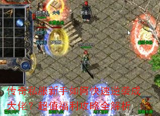 ����˽��������ο�����Ϯ�ɴ��У���ֵ��������ȫ����