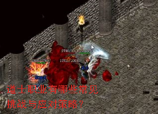 ��ʿְҵ����Щ������ս��Ӧ�Բ��ԣ�