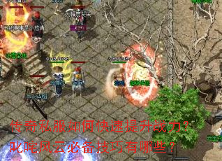 ����˽����ο�������ս����߳����Ʊر���������Щ��