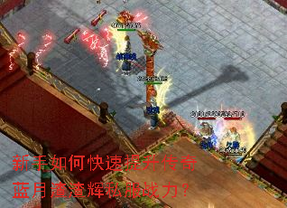 ������ο���������������������˽��ս����