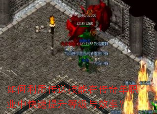 ������ô��ͼ����ڴ��浥ְҵ�п��������ȼ���Ч�ʣ�