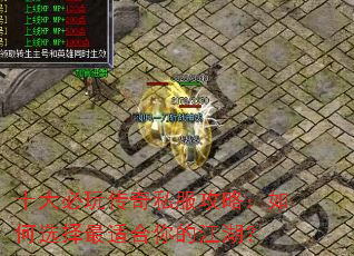 ʮ����洫��˽�����ԣ����ѡ�����ʺ���Ľ�����