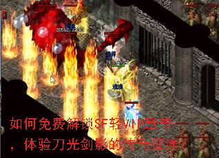 �����ѽ���SF��VIP�½ڣ����鵶�⽣Ӱ�Ĵ�����;��