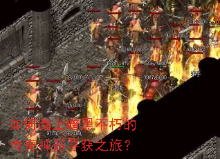 ���̤�ϰ��ڲ���Ĵ�������Ѱ��֮�ã�